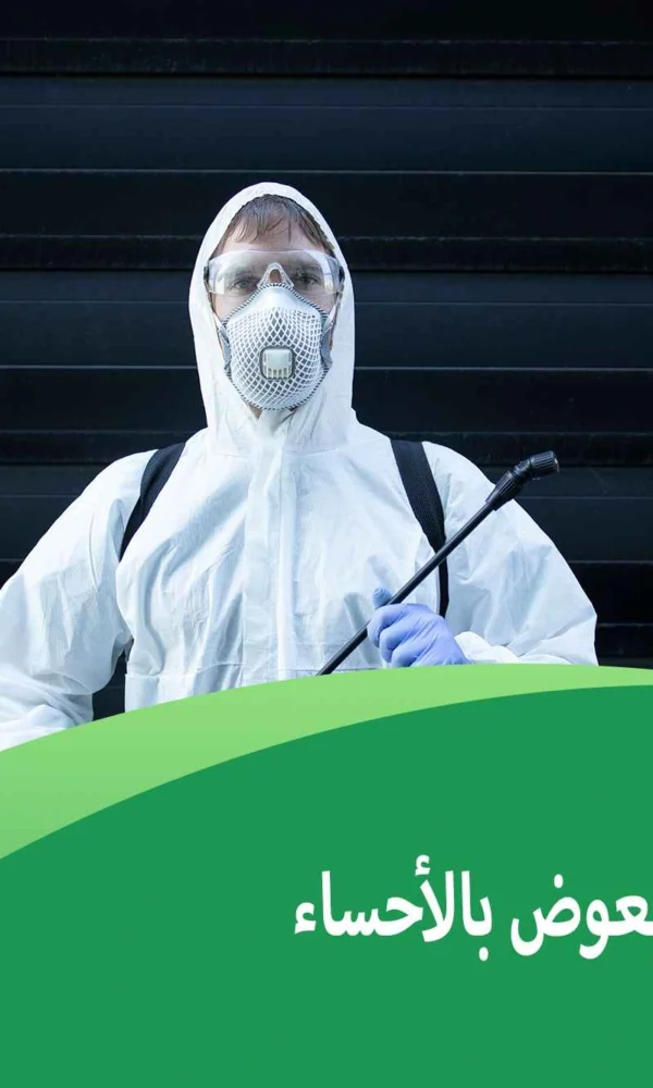 شركة مكافحة البعوض بالأحساء