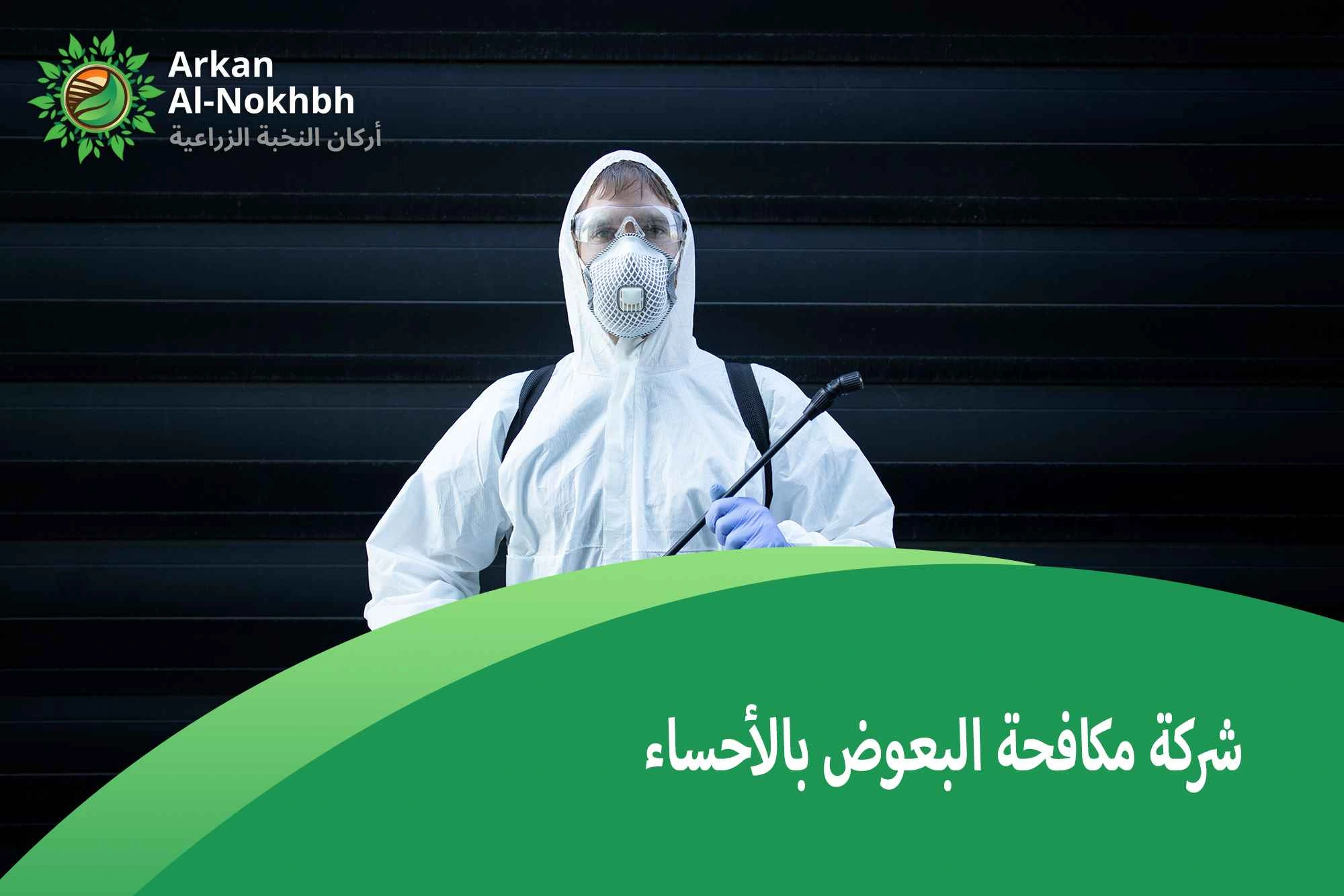 شركة مكافحة البعوض بالأحساء