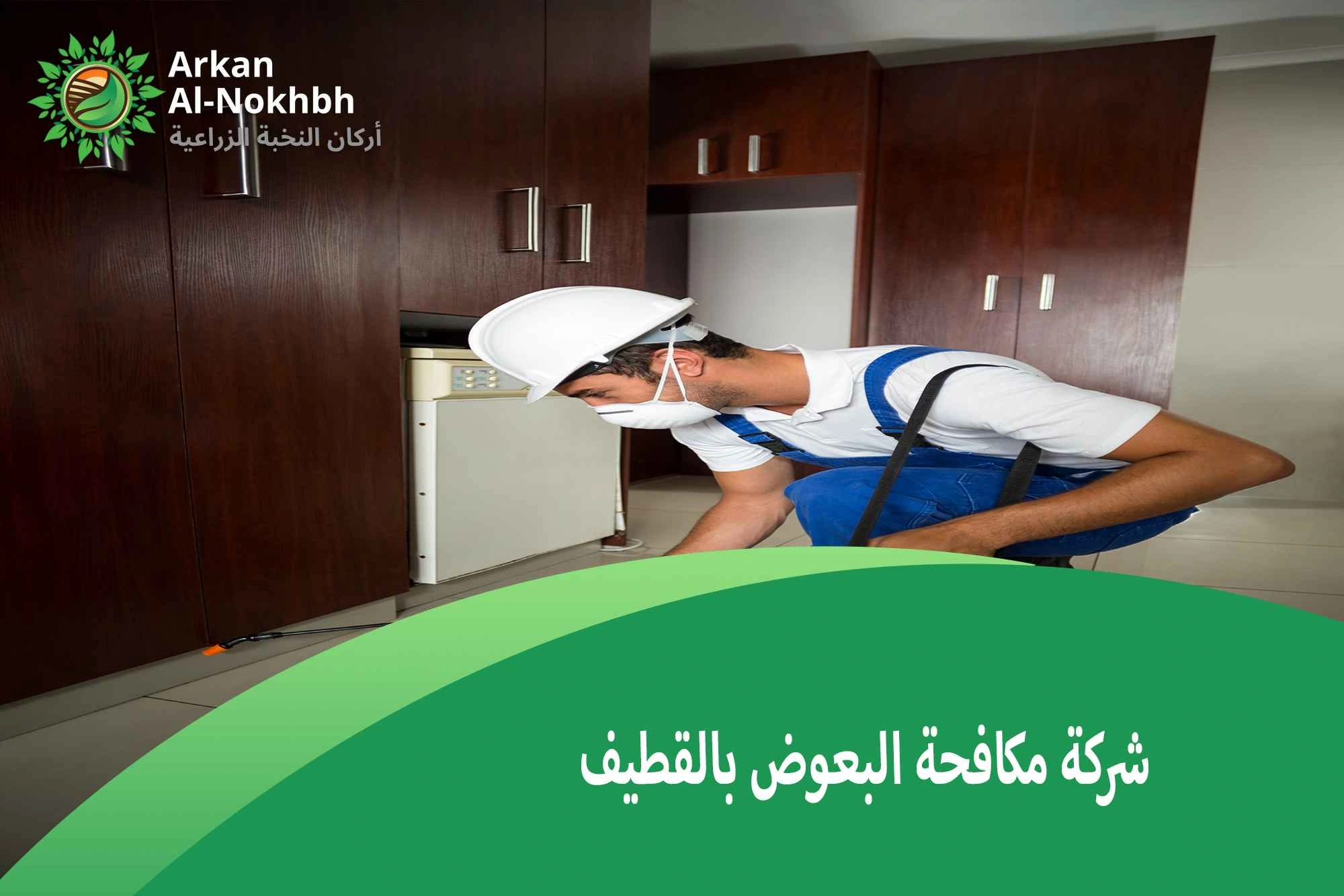 شركة مكافحة البعوض بالقطيف