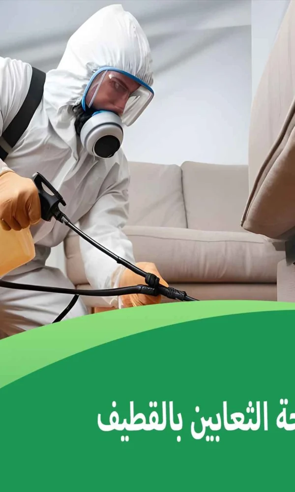 شركة مكافحة الثعابين بالقطيف