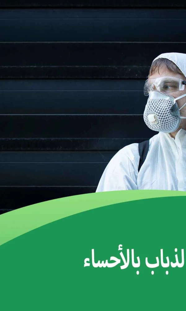 شركة مكافحة الذباب بالأحساء