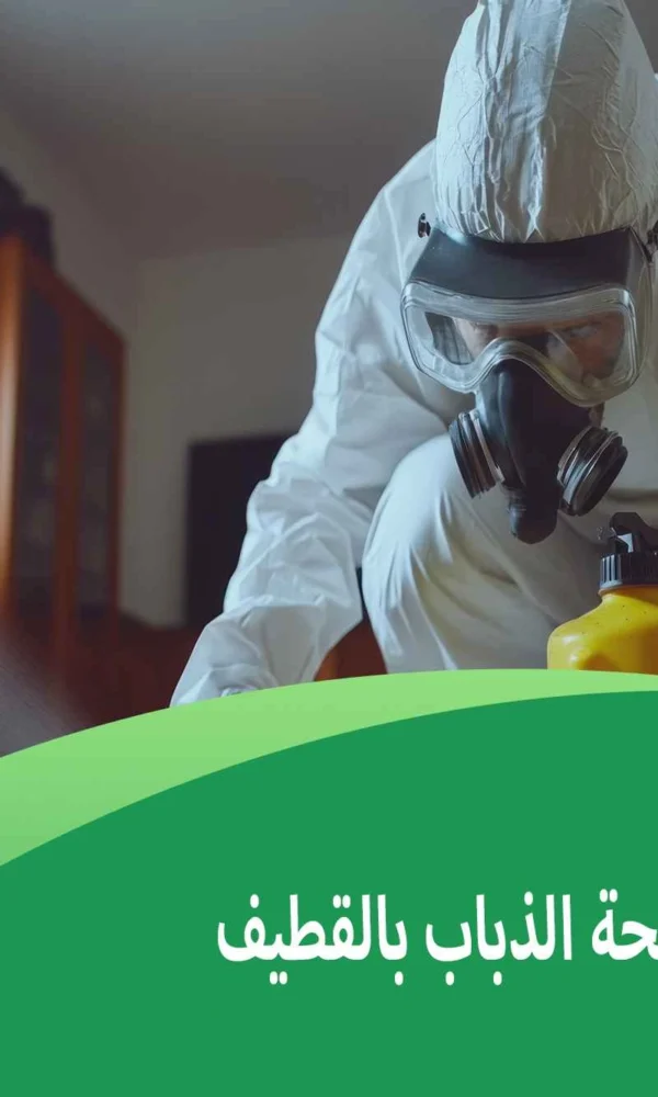 شركة مكافحة الذباب بالقطيف