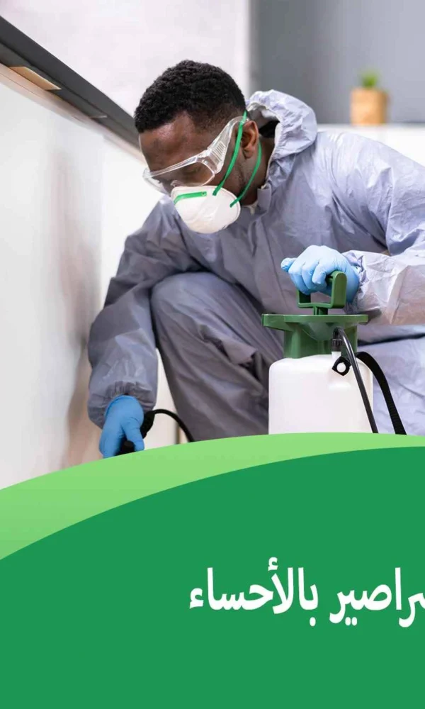 شركة مكافحة الصراصير بالأحساء