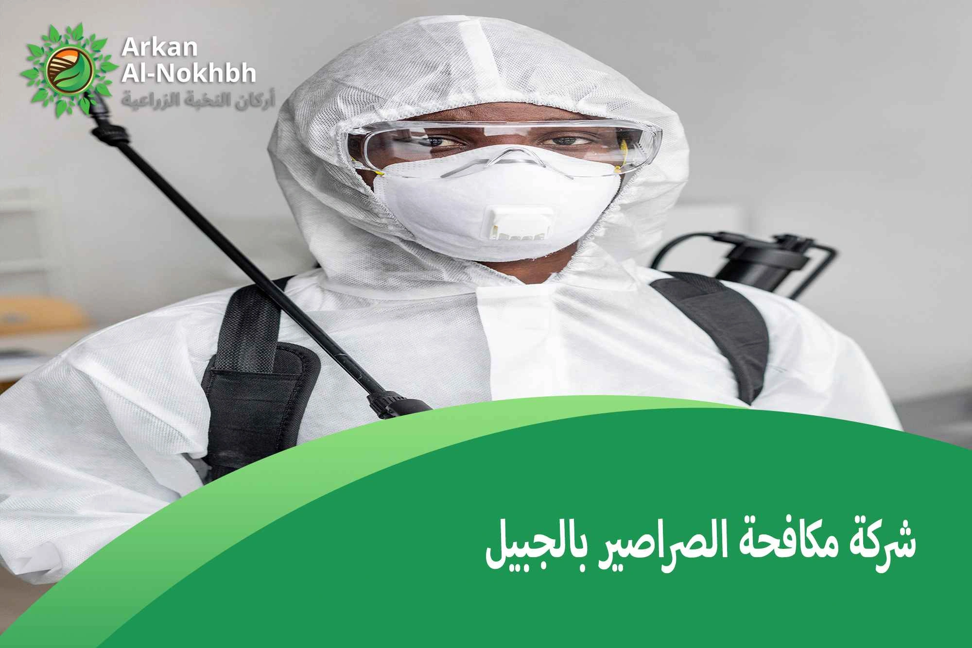 شركة مكافحة الصراصير بالجبيل