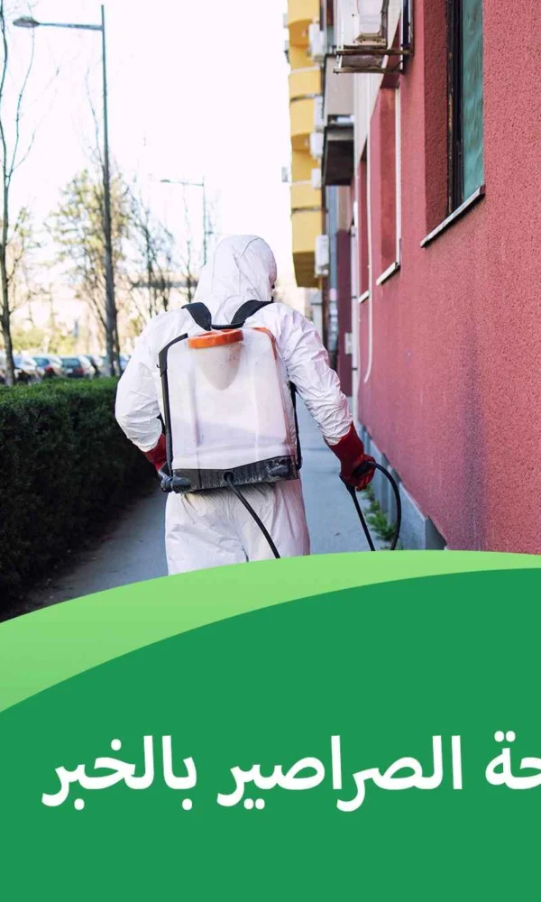شركة مكافحة الصراصير بالخبر