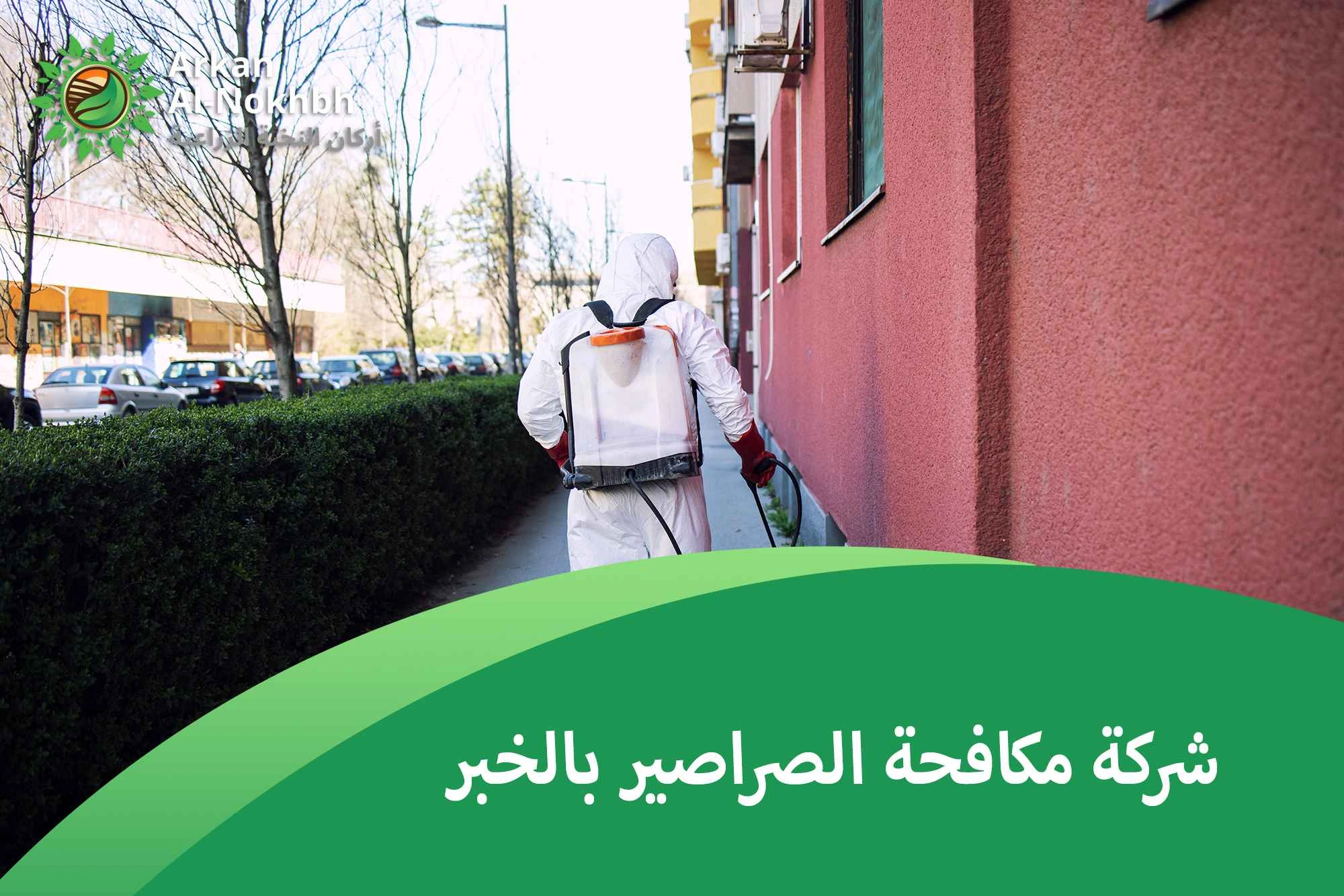 شركة مكافحة الصراصير بالخبر