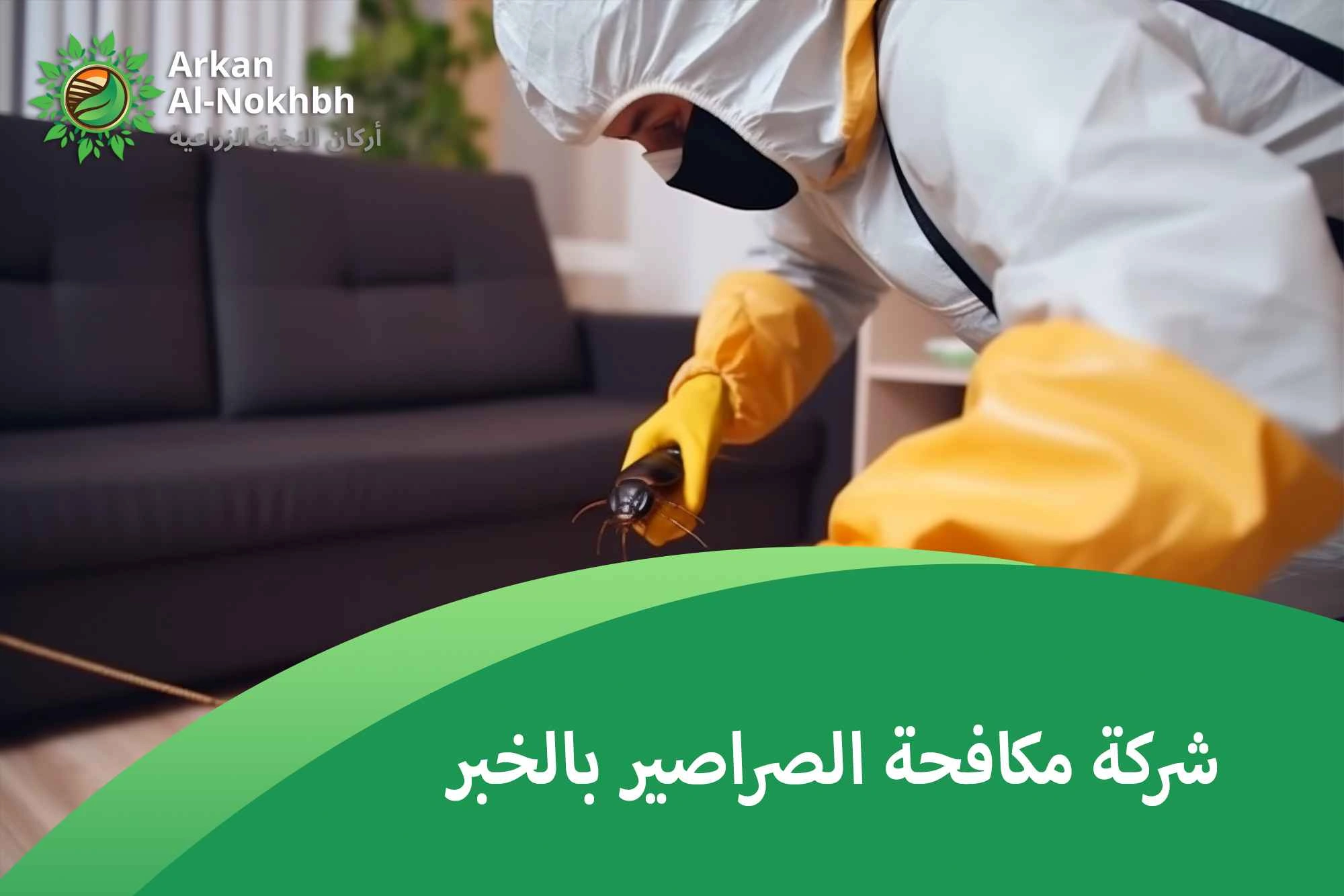 شركة مكافحة الصراصير بالخبر