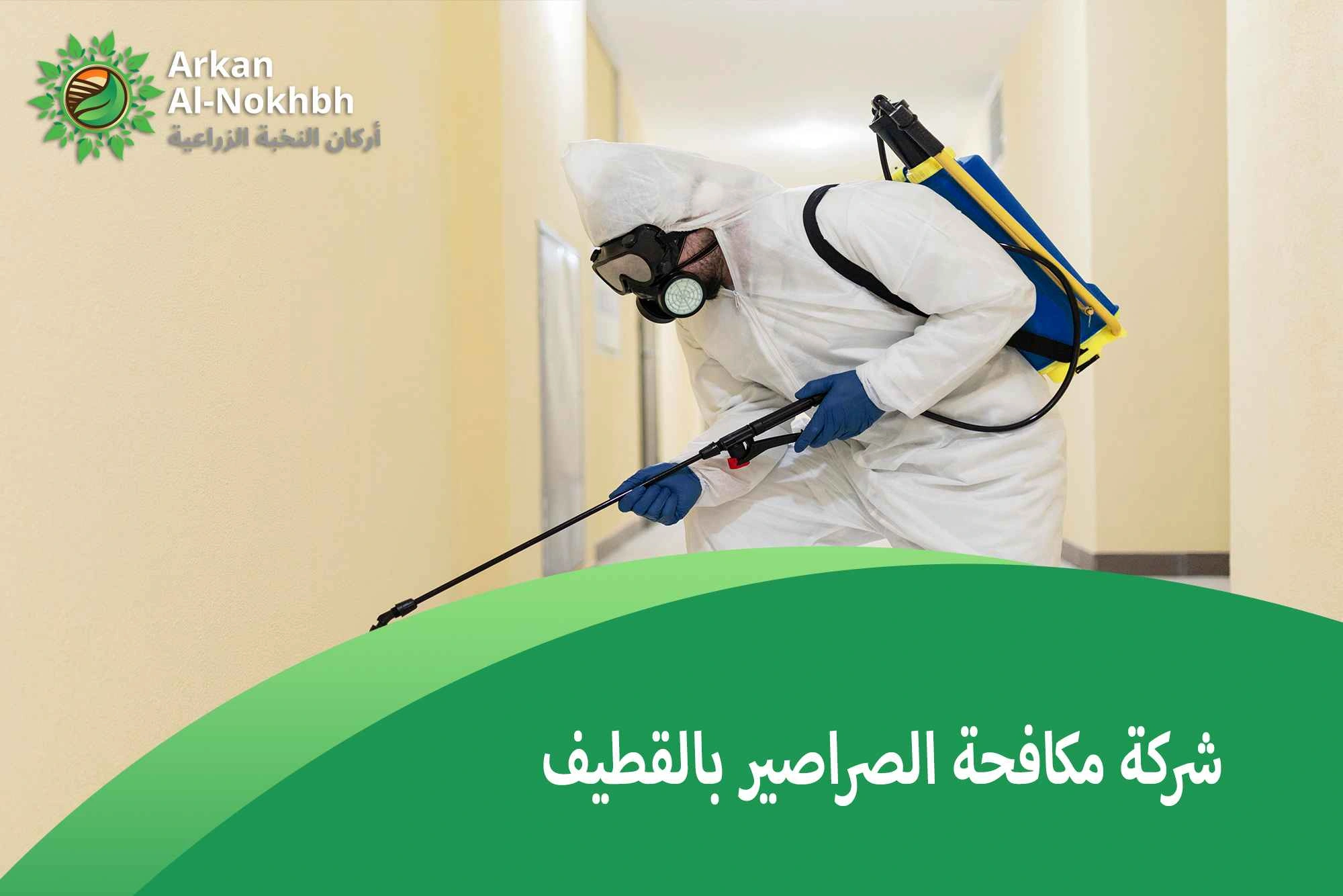شركة مكافحة الصراصير بالقطيف