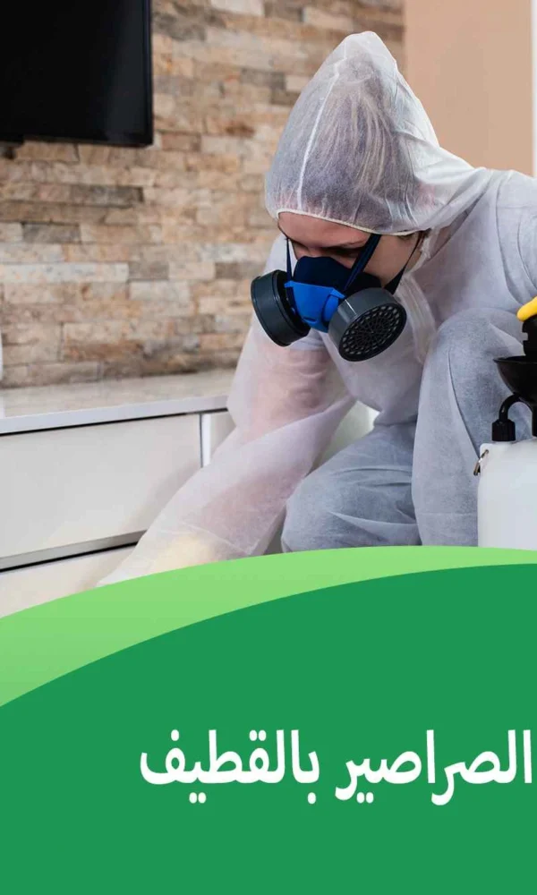 شركة مكافحة الصراصير بالقطيف