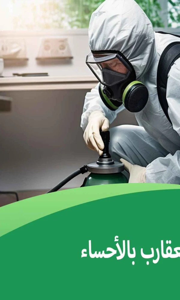 شركة مكافحة العقارب بالأحساء