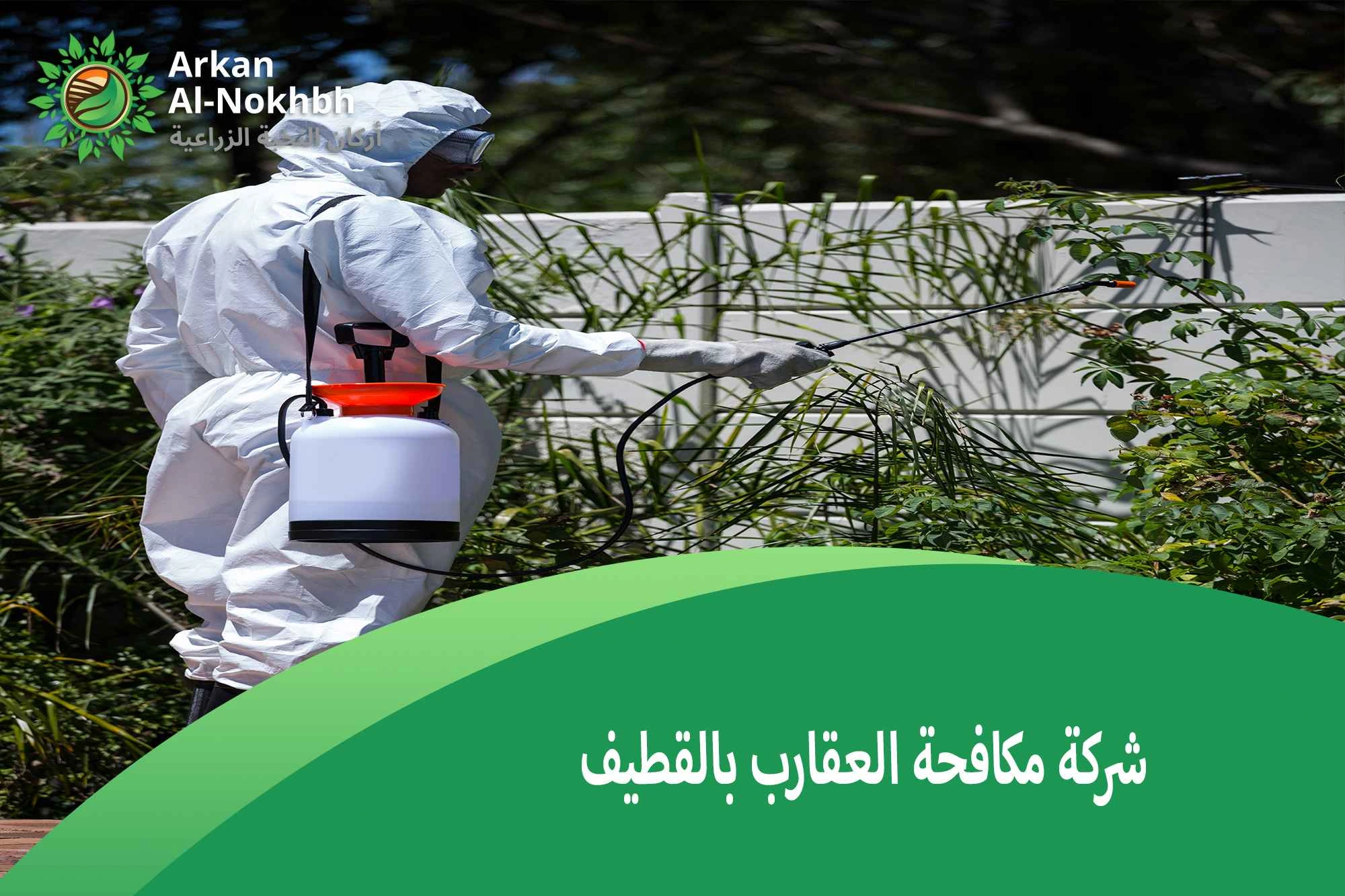 شركة مكافحة العقارب بالقطيف