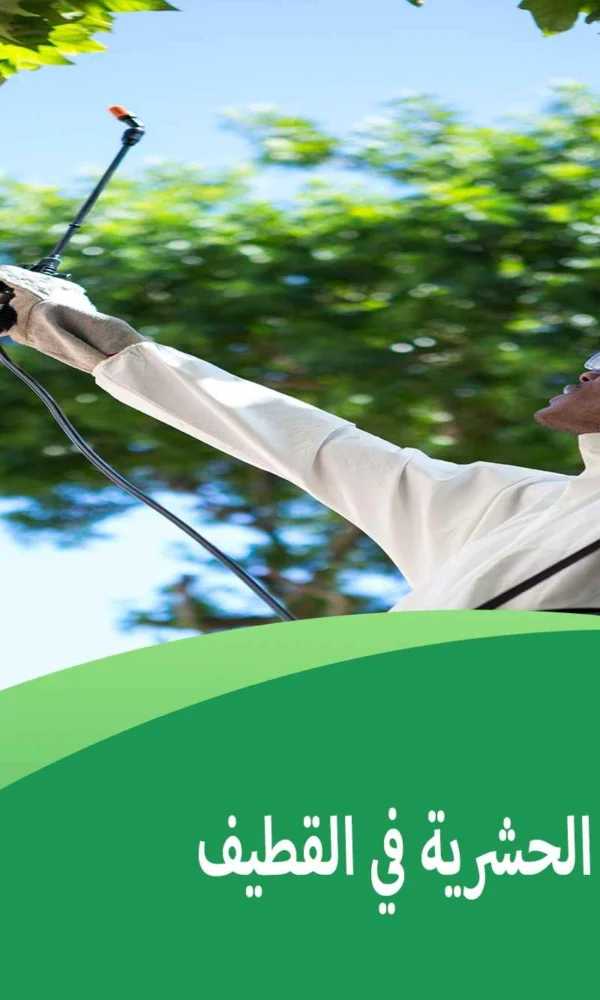 شركة مكافحة العقارب بالقطيف