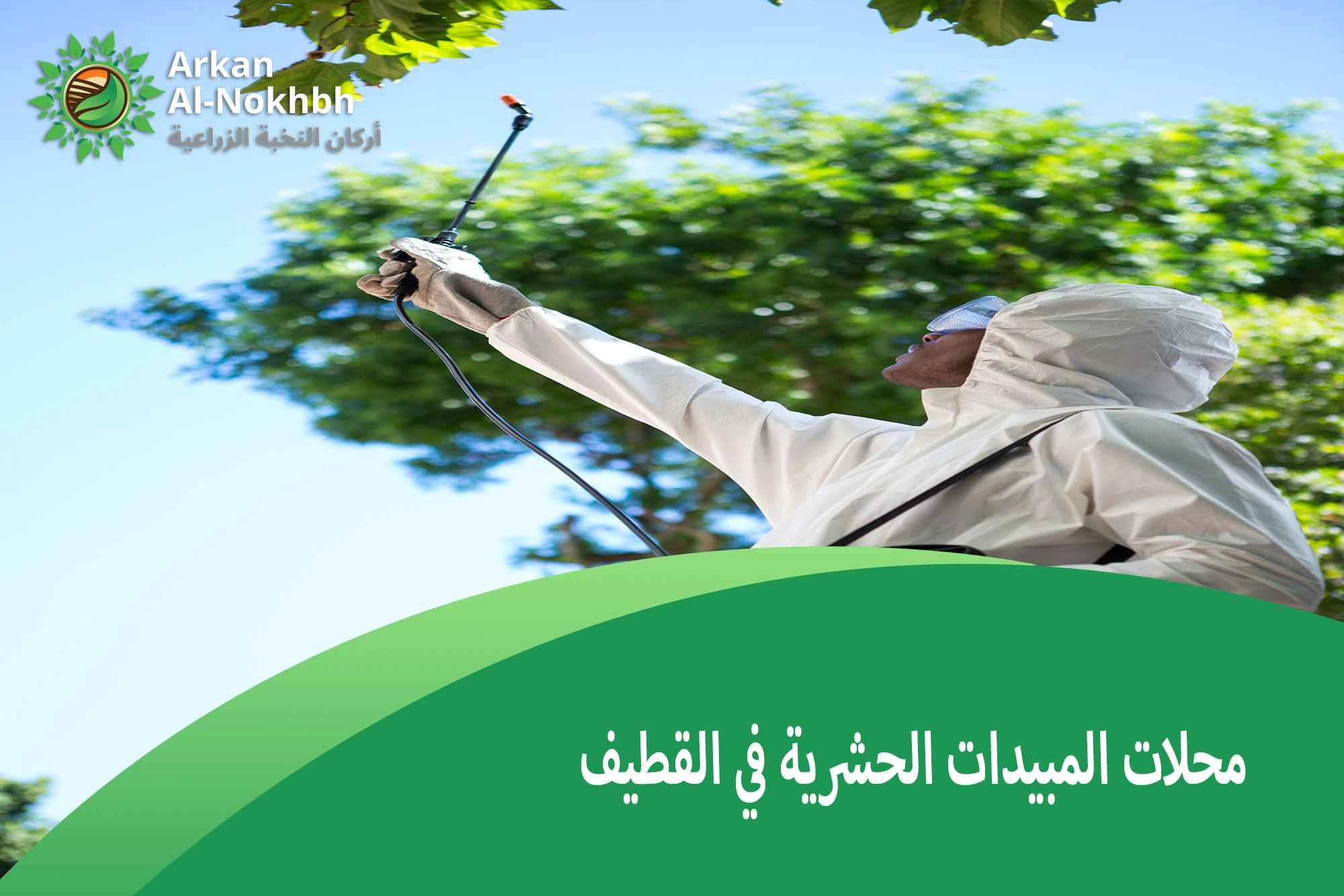 شركة مكافحة العقارب بالقطيف