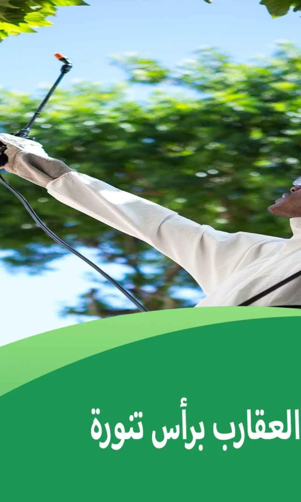 شركة مكافحة العقارب برأس تنورة