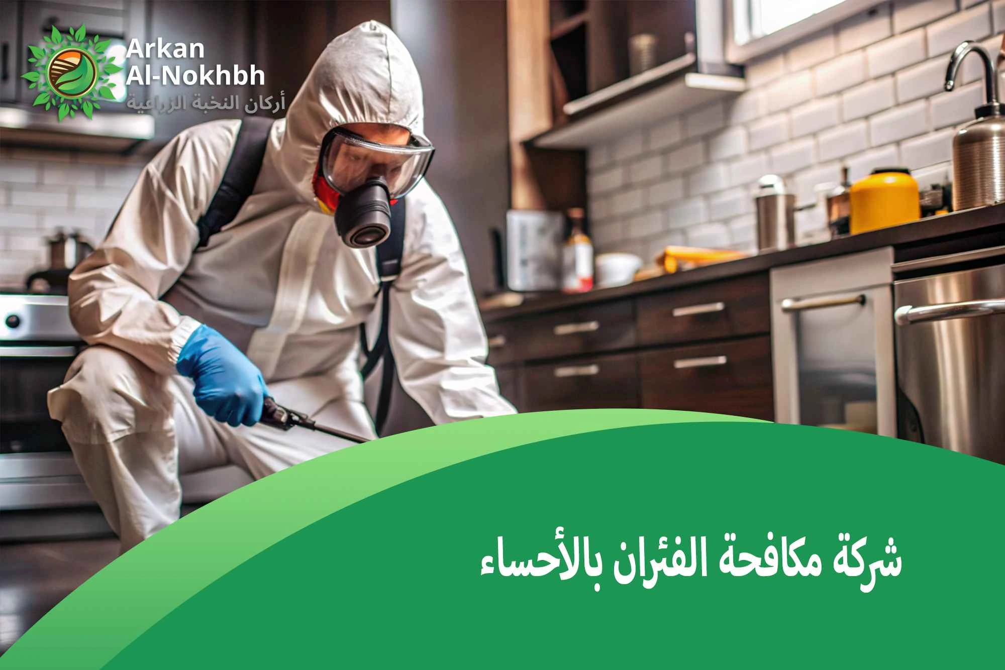 شركة مكافحة الفئران بالأحساء