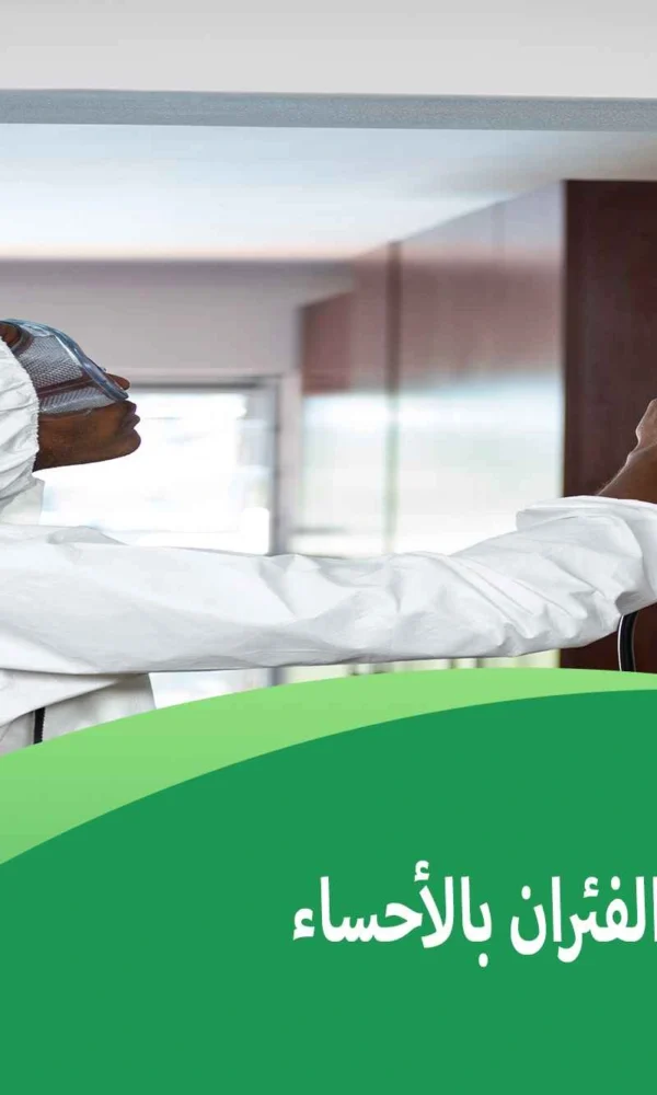 شركة مكافحة الفئران بالأحساء