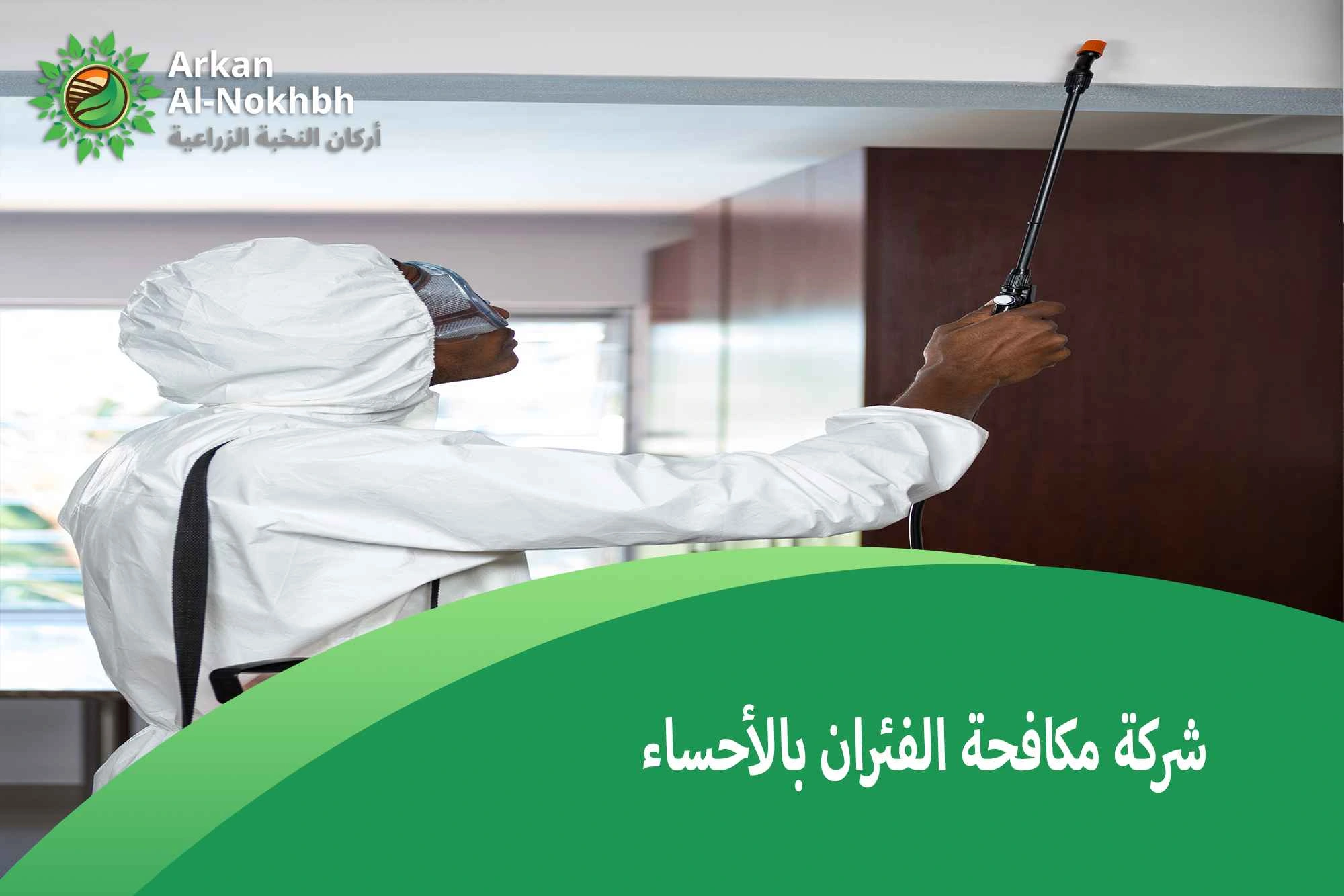 شركة مكافحة الفئران بالأحساء