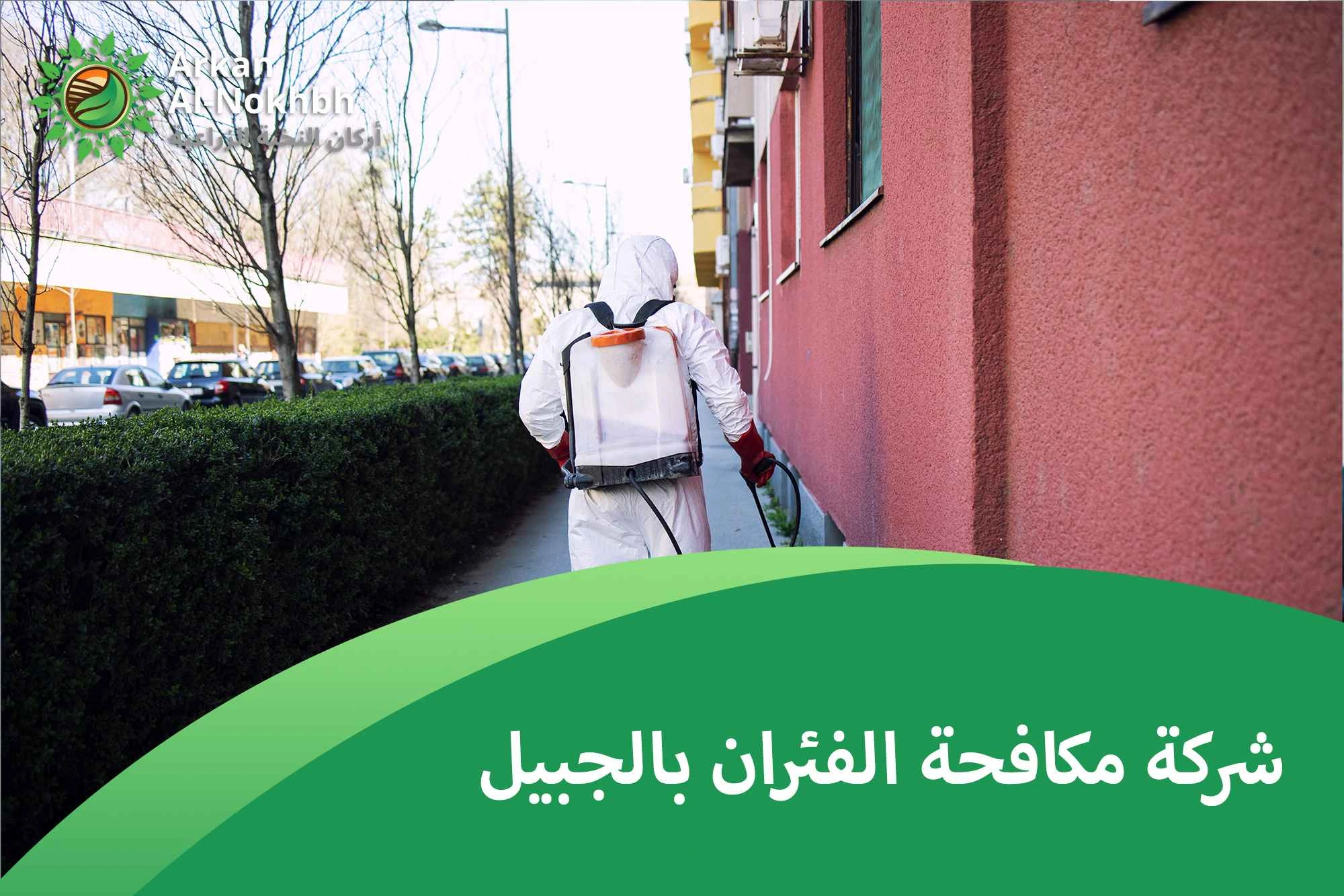 شركة مكافحة الفئران بالجبيل