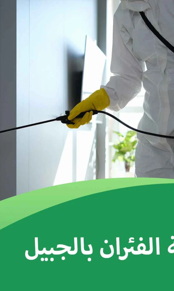 شركة مكافحة الفئران بالجبيل