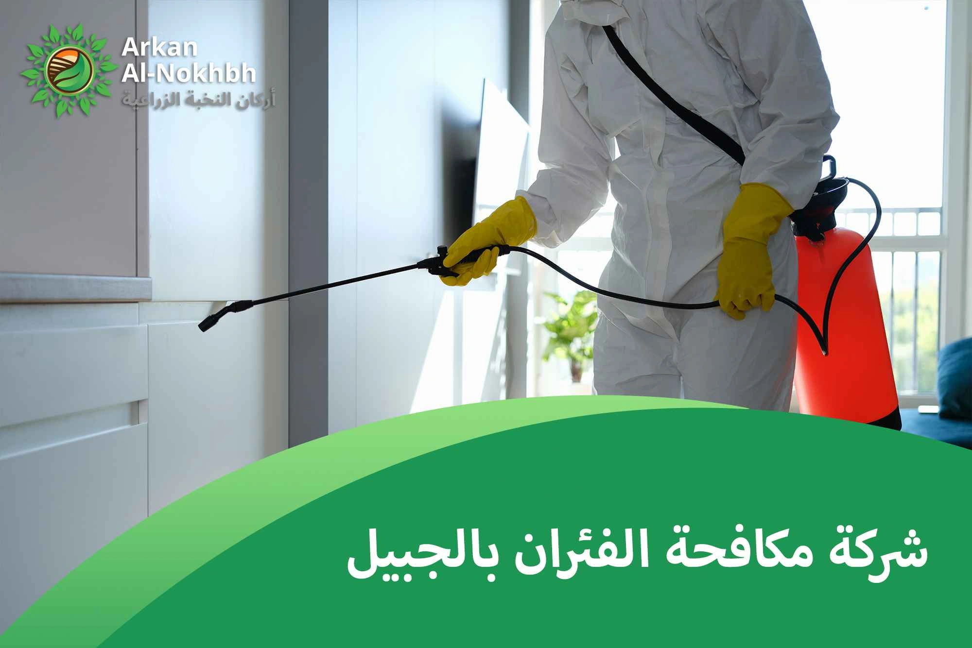 شركة مكافحة الفئران بالجبيل