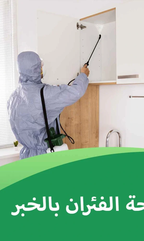 شركة مكافحة الفئران بالخبر