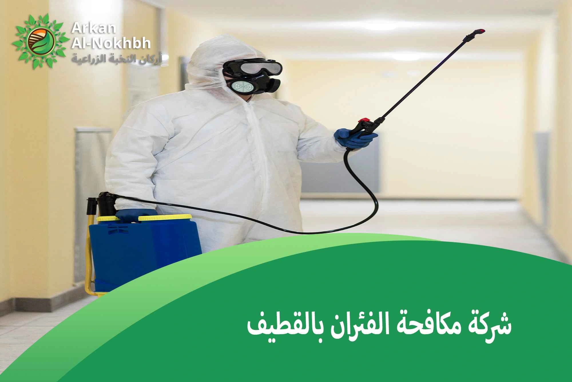 شركة مكافحة الفئران بالقطيف