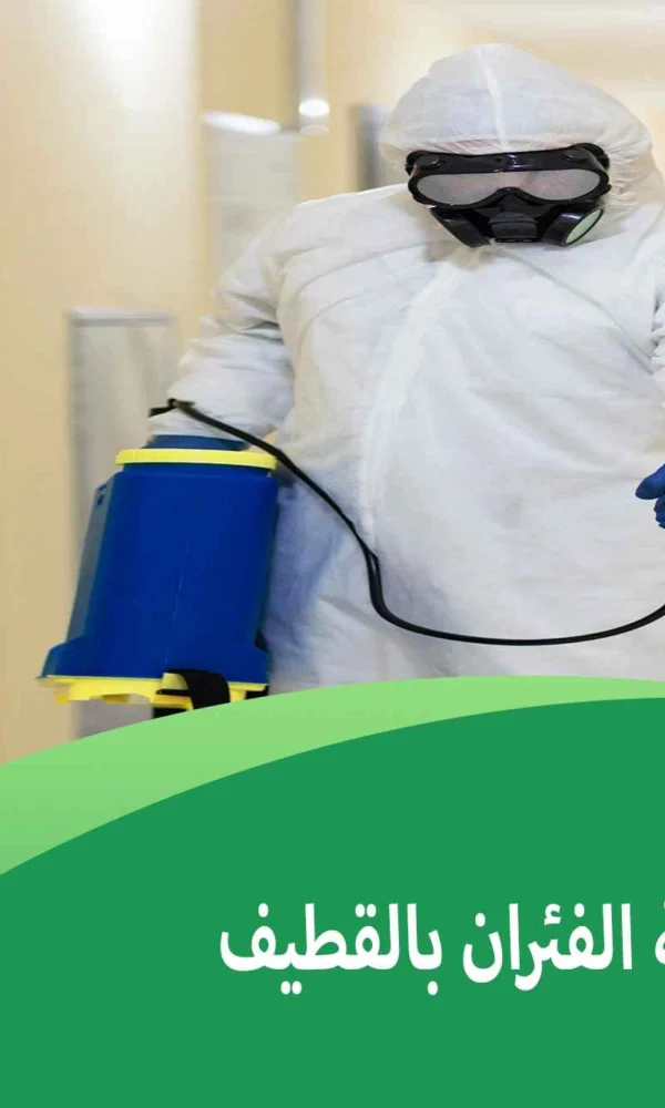 شركة مكافحة الفئران بالقطيف