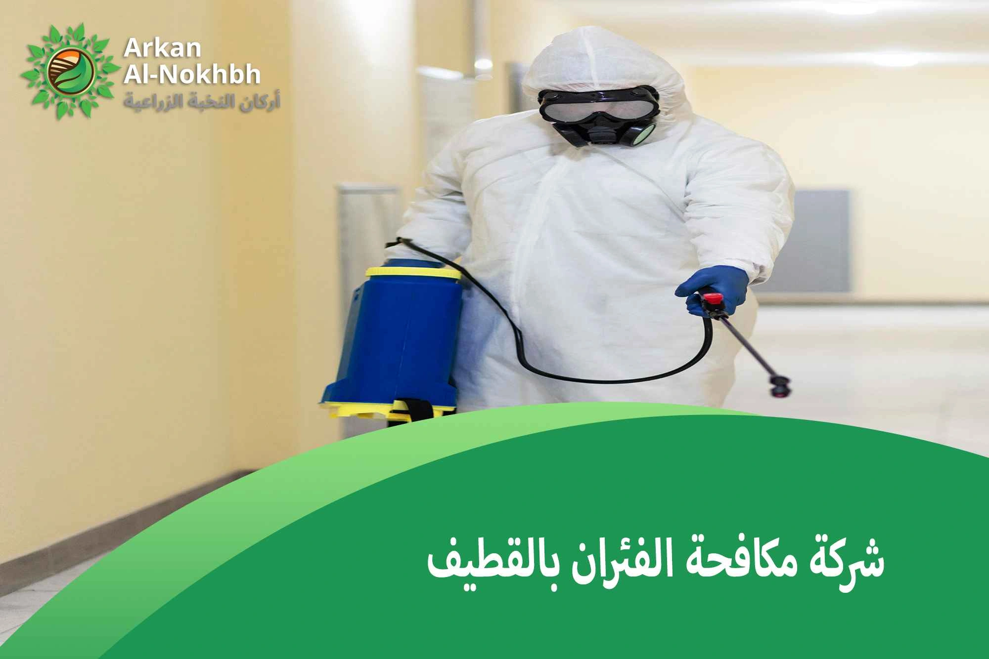 شركة مكافحة الفئران بالقطيف