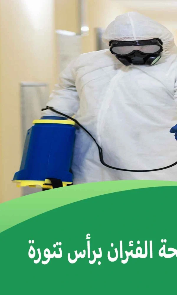 شركة مكافحة الفئران برأس تنورة