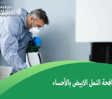 شركة مكافحة النمل الابيض بالأحساء