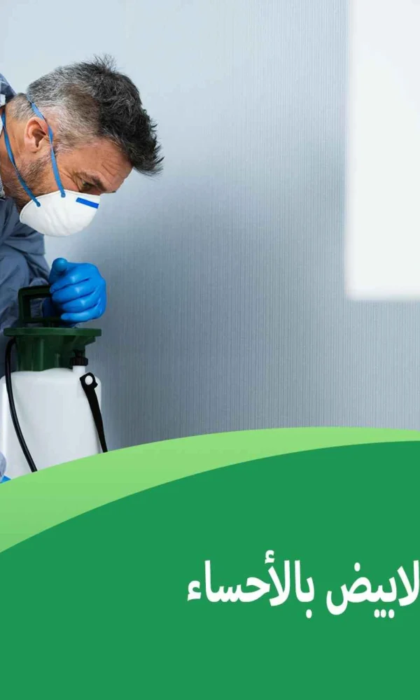 شركة مكافحة النمل الابيض بالأحساء