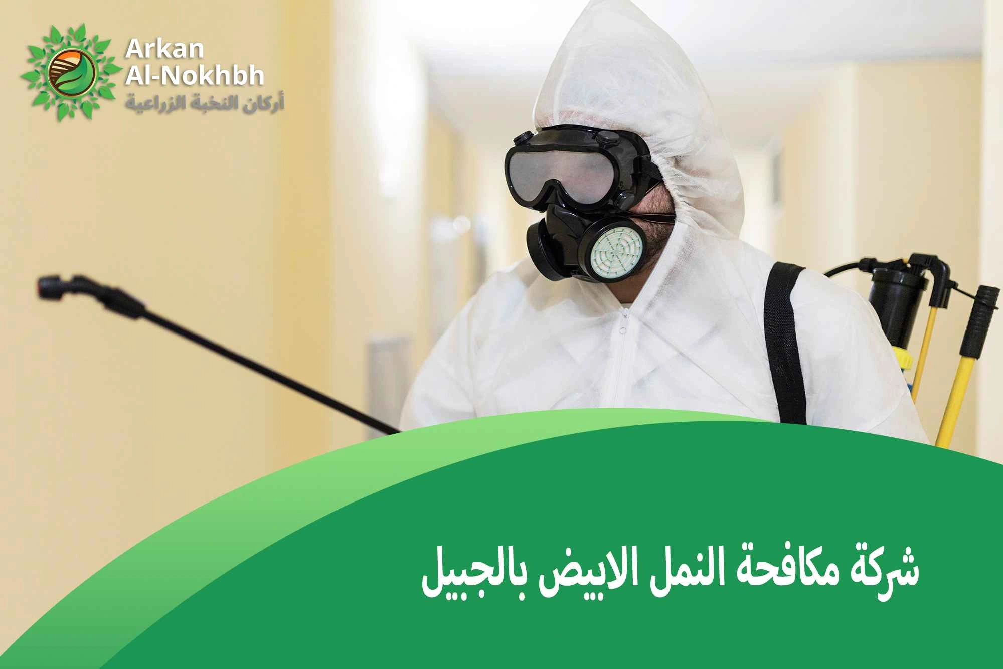 شركة مكافحة النمل الابيض بالجبيل