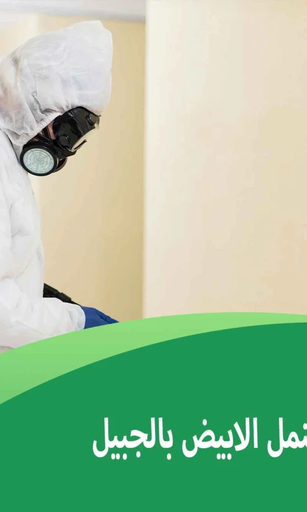 شركة مكافحة النمل الابيض بالجبيل