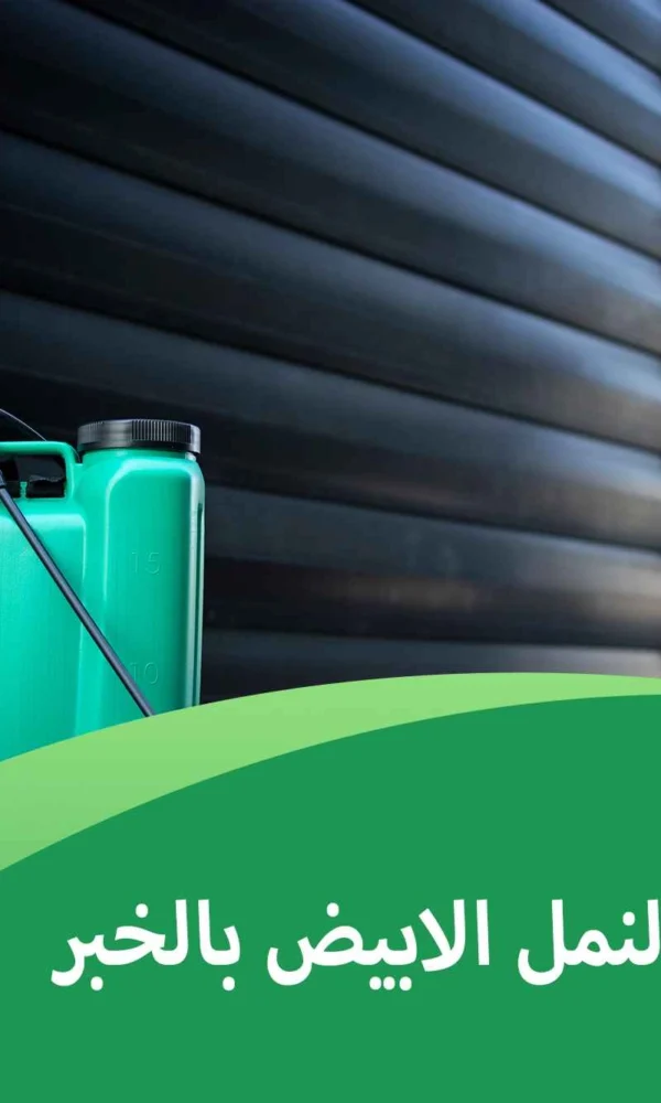 شركة مكافحة النمل الابيض بالخبر