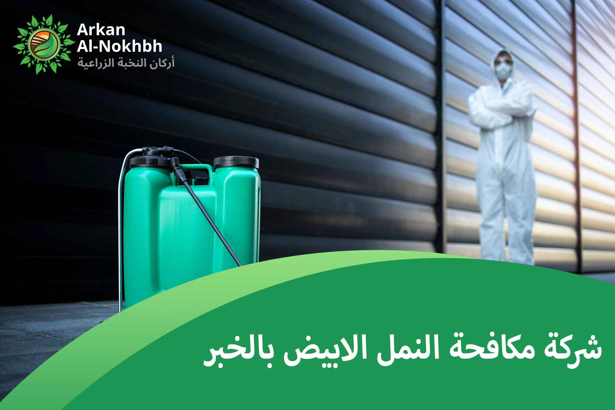 شركة مكافحة النمل الابيض بالخبر