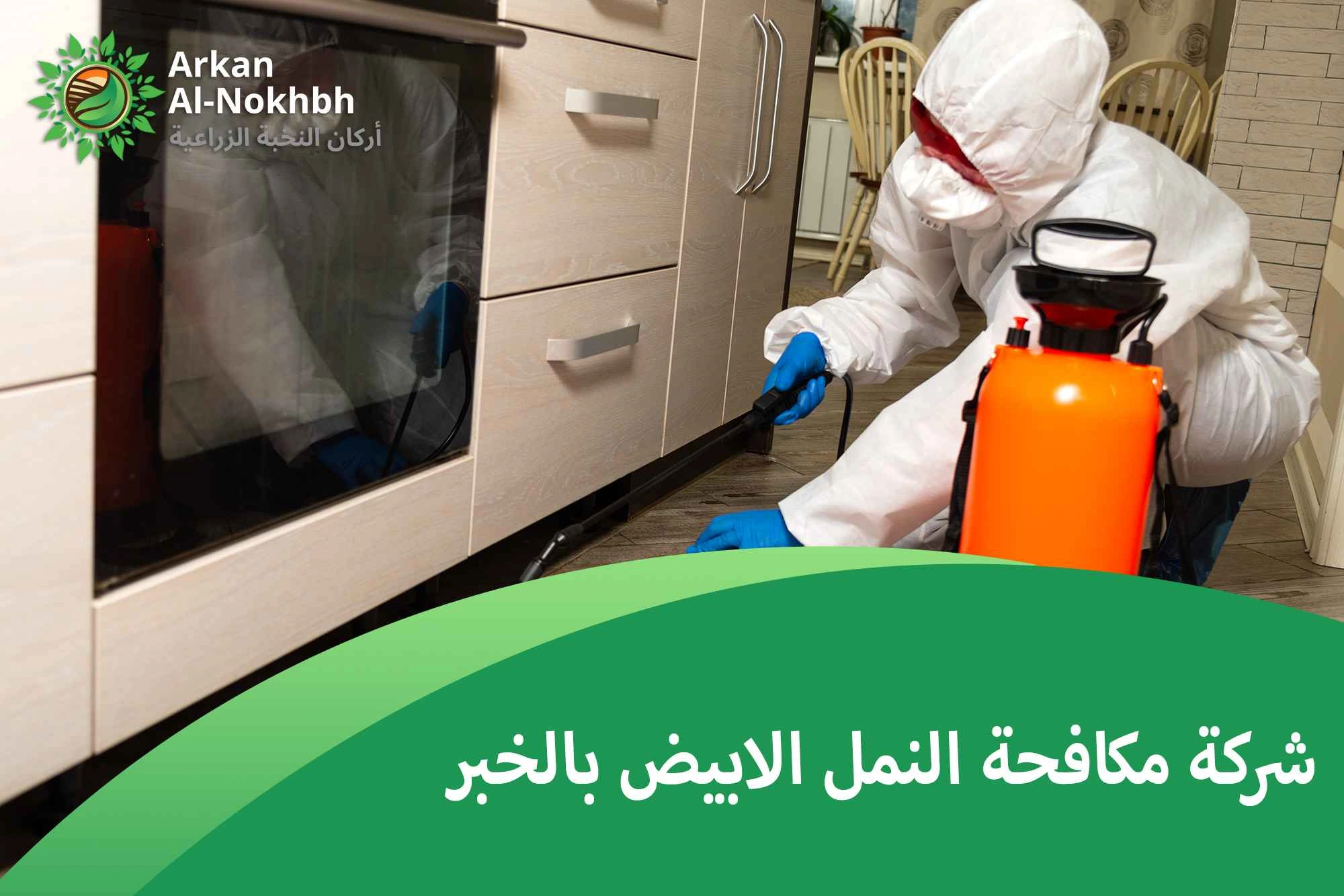 شركة مكافحة النمل الابيض بالخبر