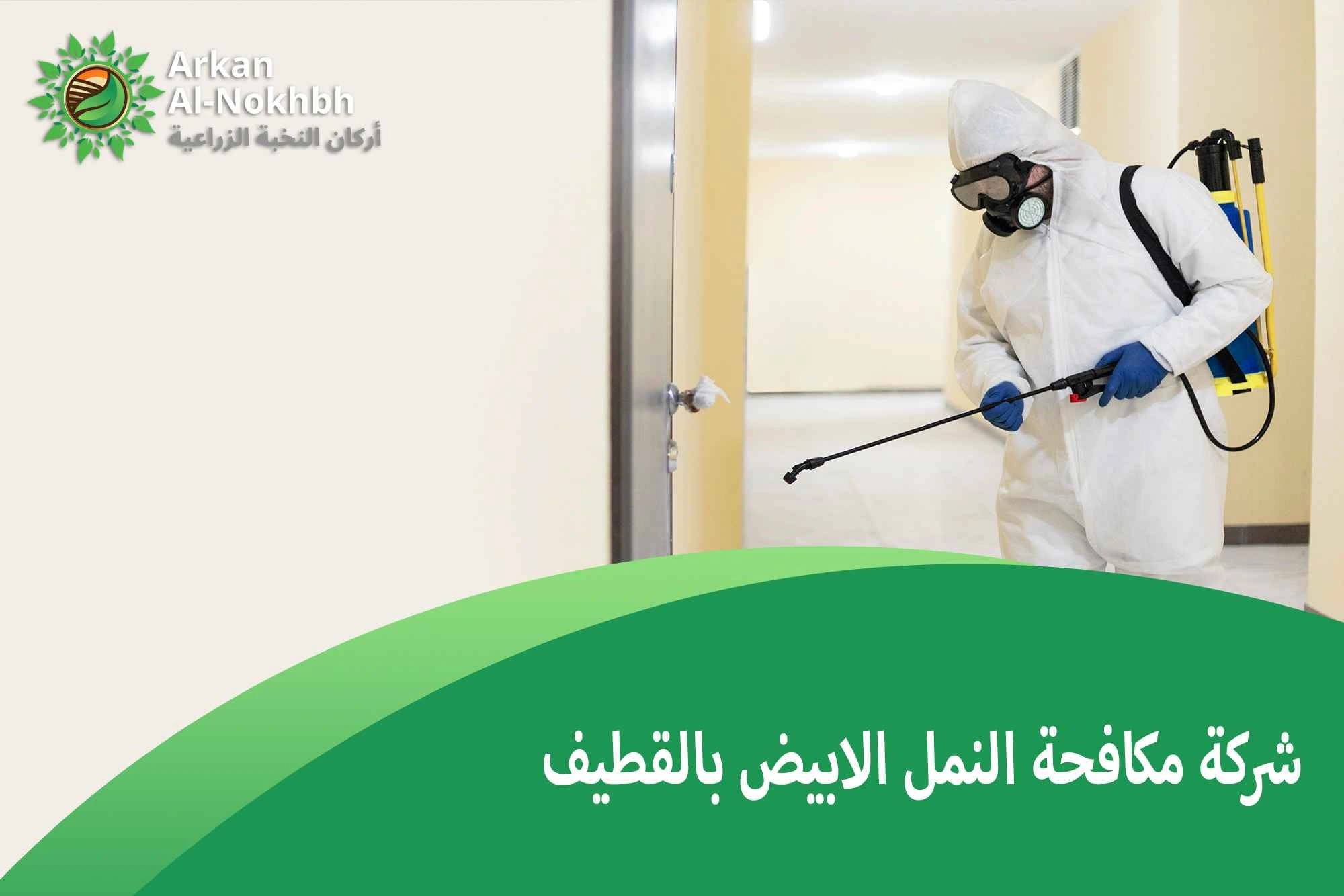 شركة مكافحة النمل الابيض بالقطيف