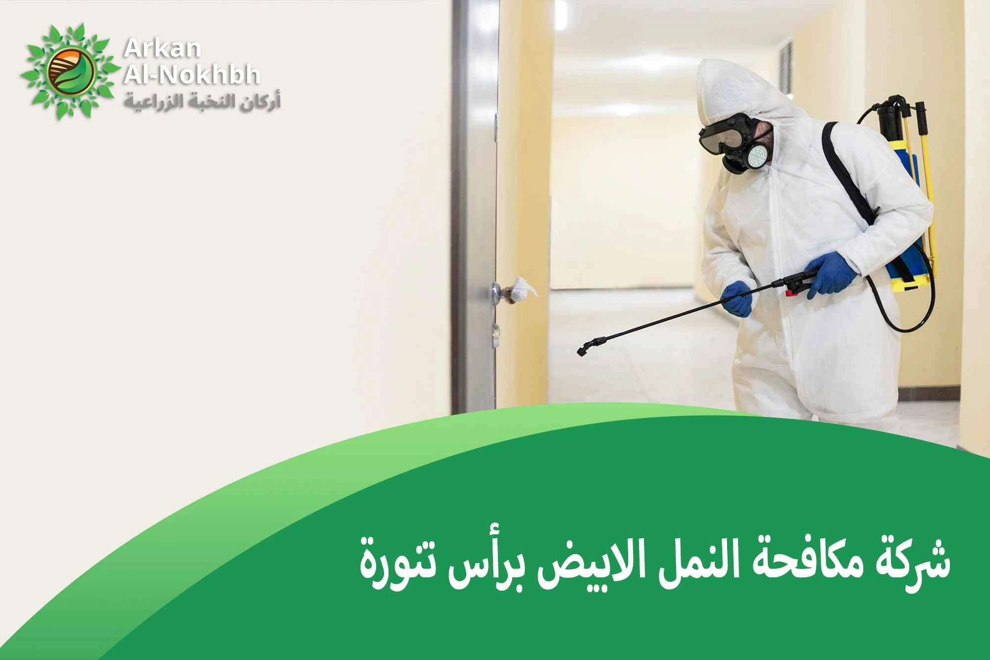 شركة مكافحة النمل الابيض برأس تنورة