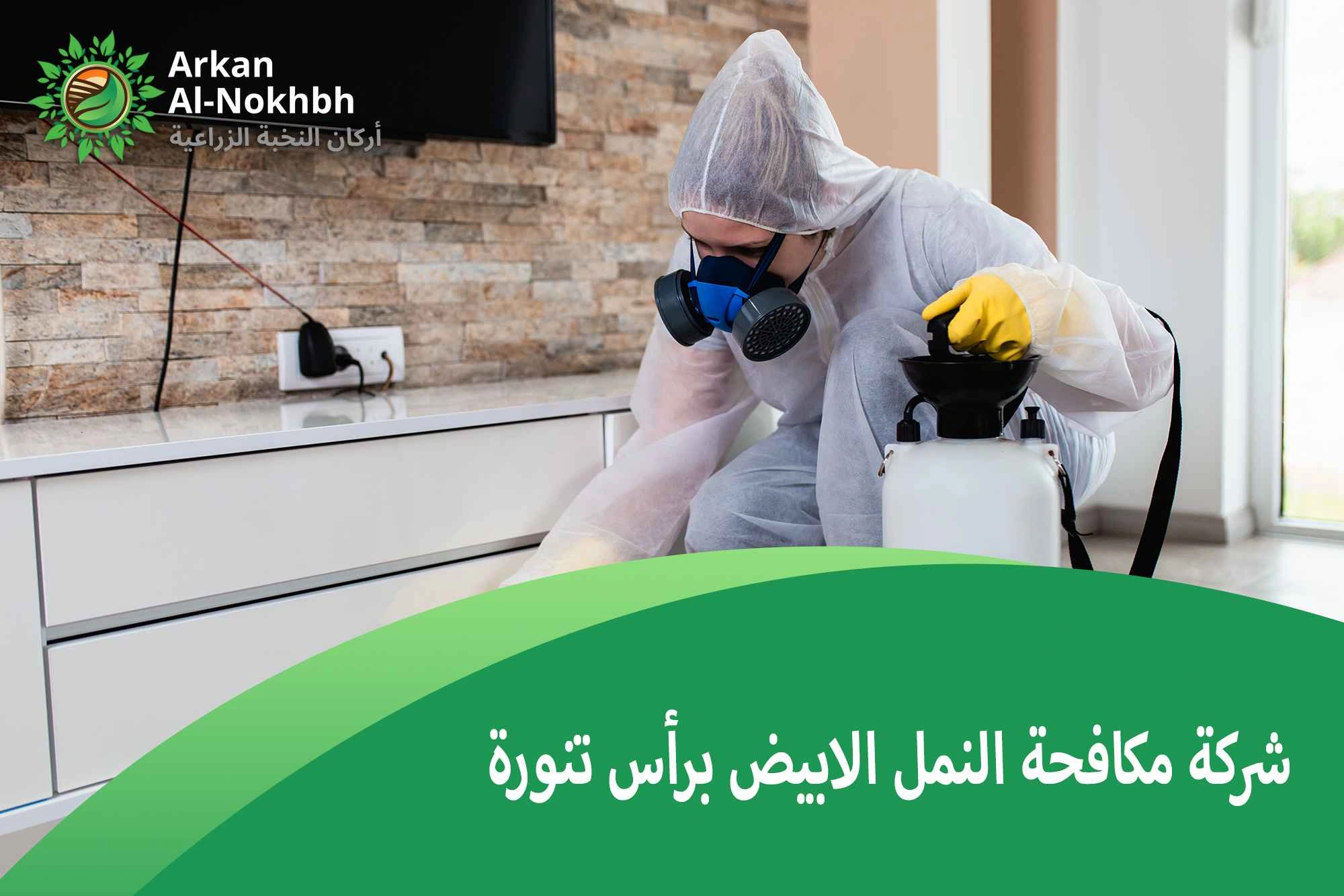 شركة مكافحة النمل الابيض برأس تنورة