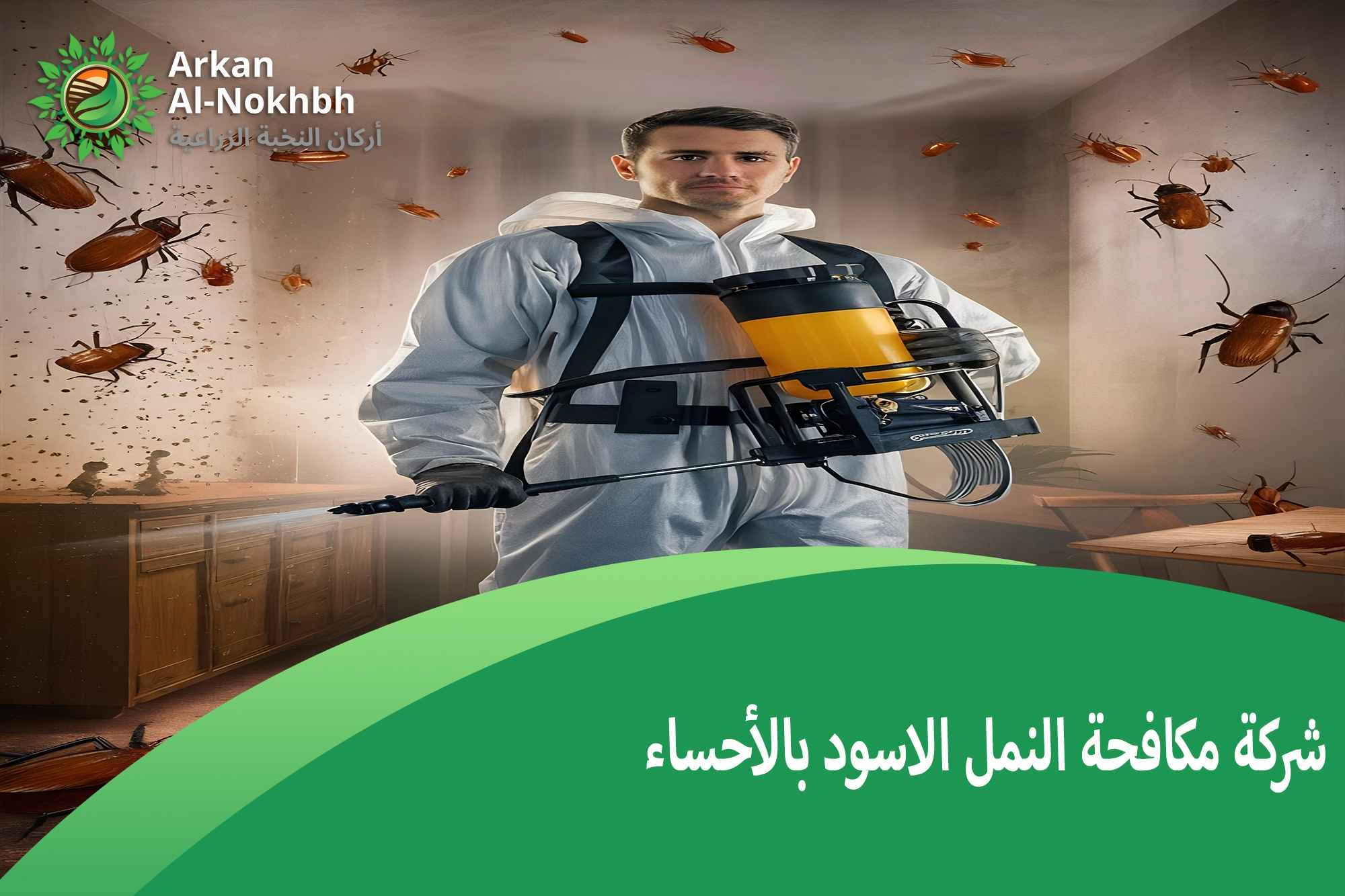 شركة مكافحة النمل الاسود بالأحساء