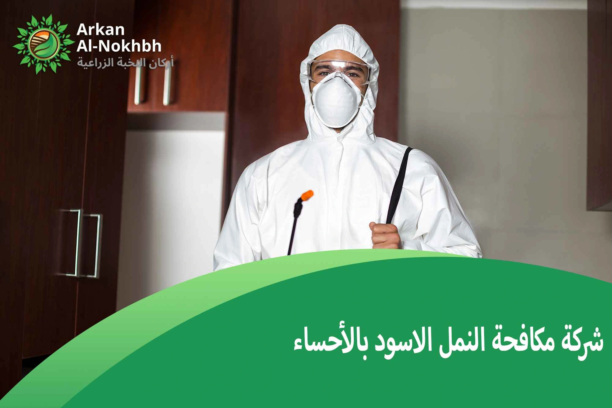 شركة مكافحة النمل الاسود بالأحساء