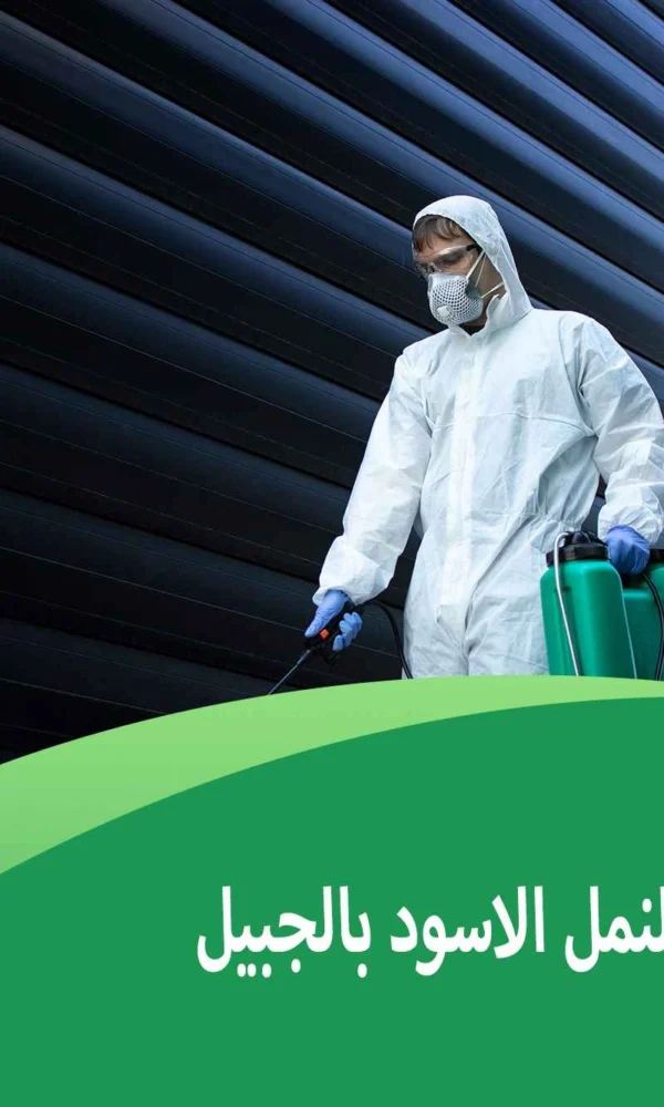 شركة مكافحة النمل الاسود بالجبيل