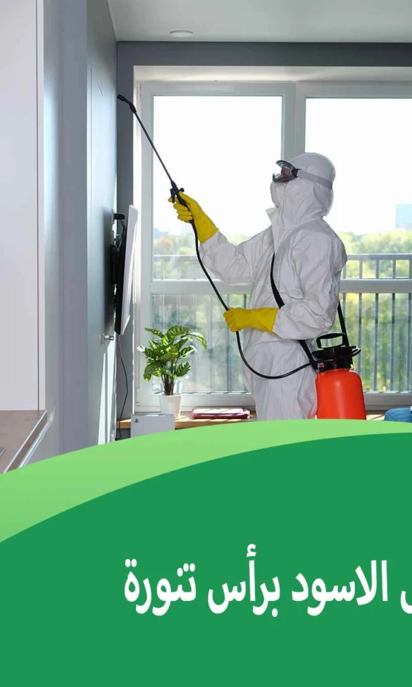 شركة مكافحة النمل الاسود برأس تنورة