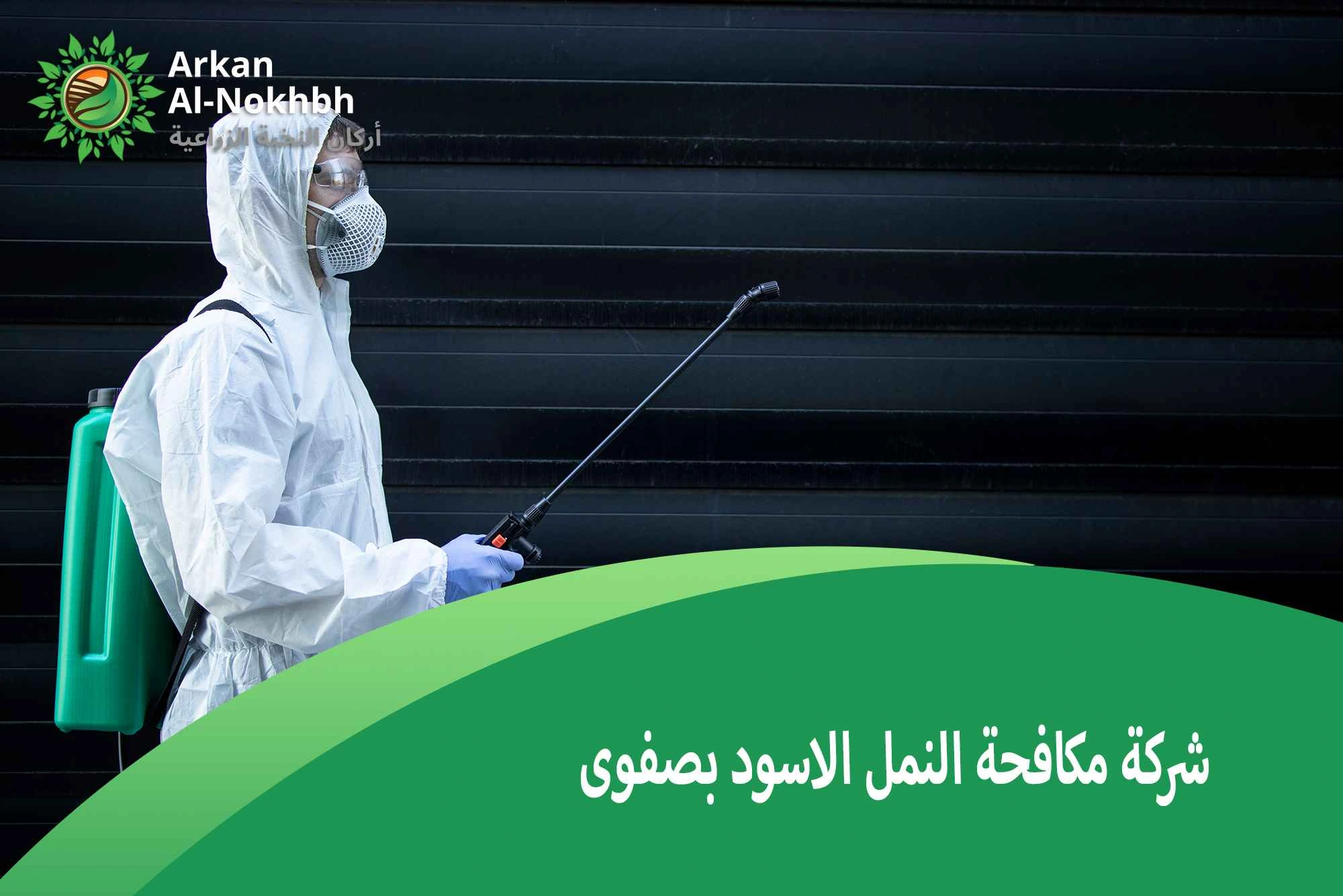 شركة مكافحة النمل الاسود بصفوى