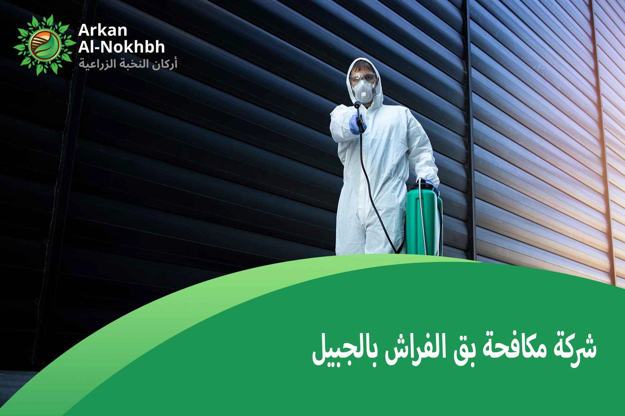 شركة مكافحة بق الفراش بالجبيل