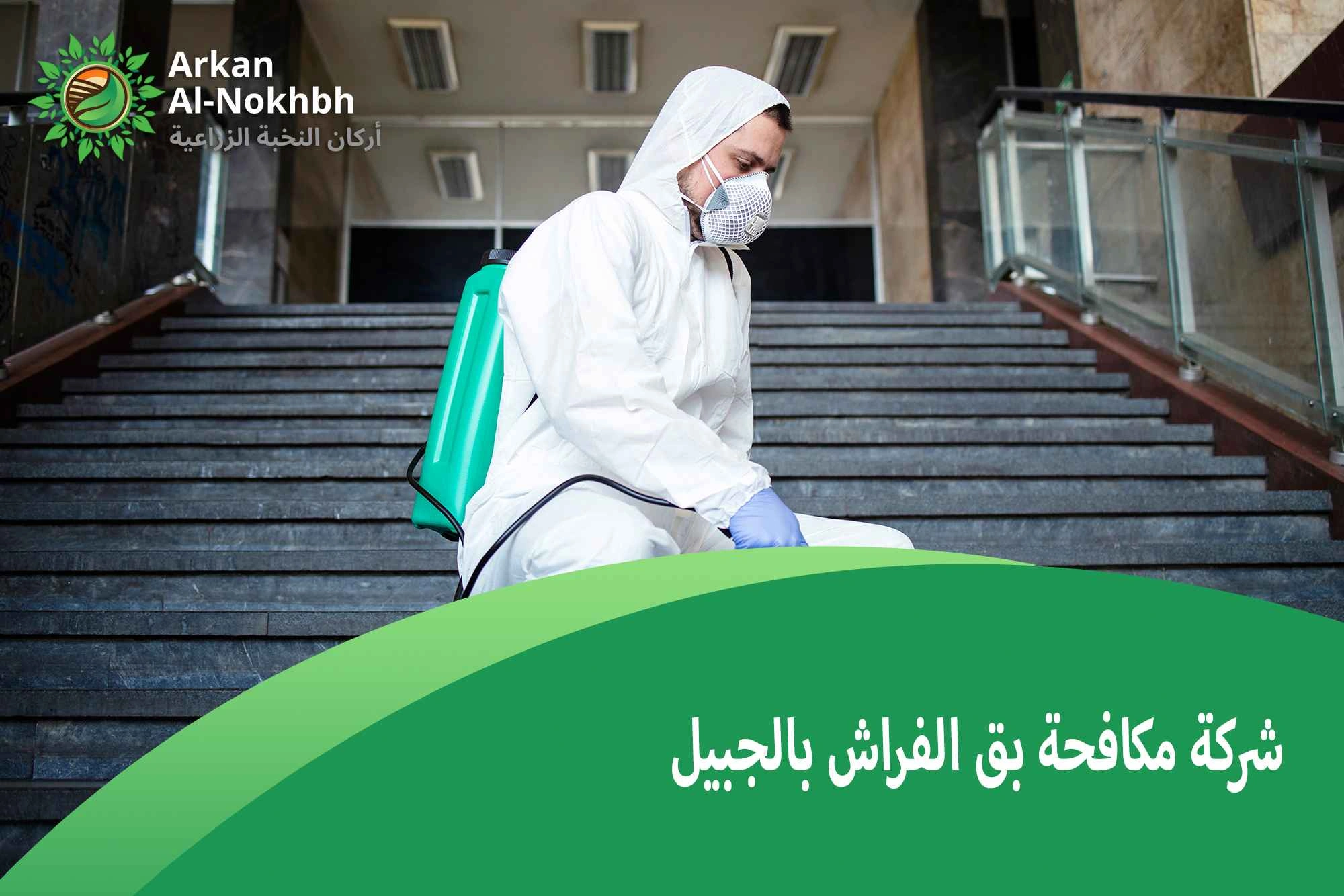 شركة مكافحة بق الفراش بالجبيل