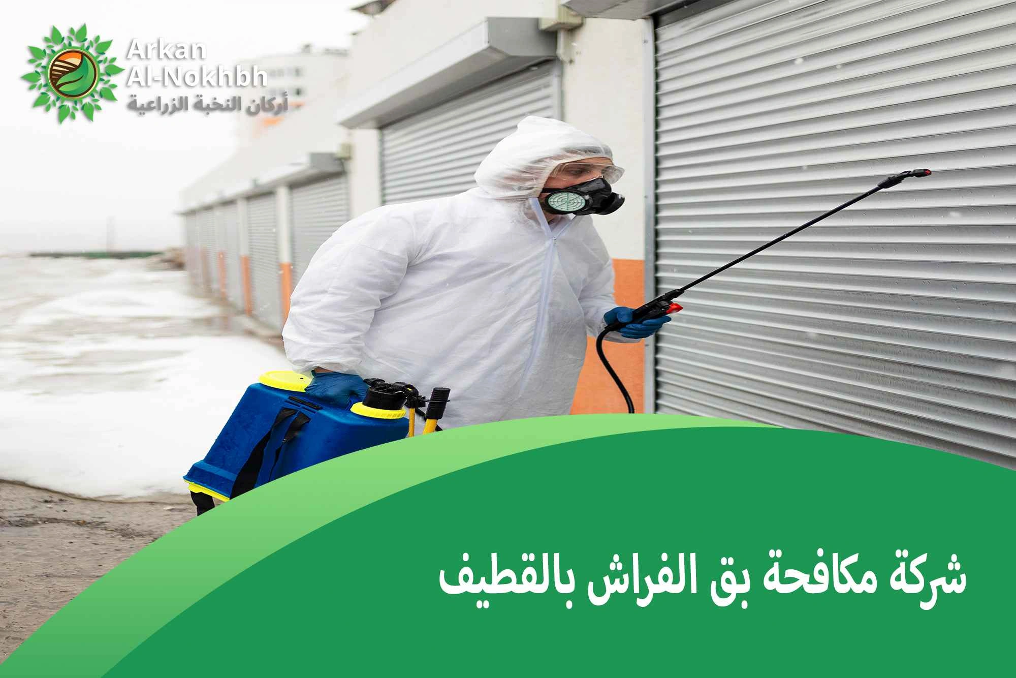 شركة مكافحة بق الفراش بالقطيف