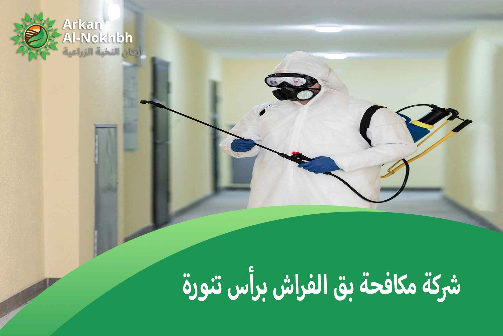 شركة مكافحة بق الفراش برأس تنورة