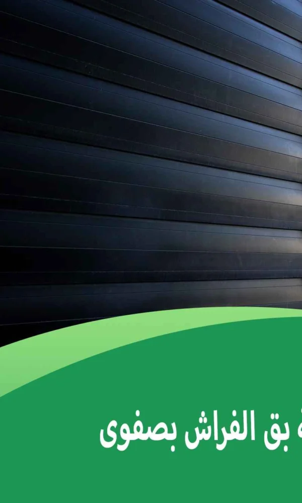 شركة مكافحة بق الفراش بصفوى