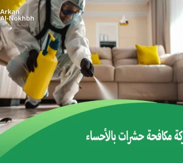 شركة مكافحة حشرات بالأحساء